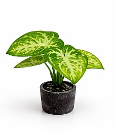 Planta artificiala in ghiveci HH03992