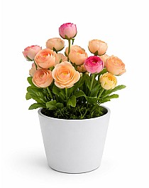 Flori artificiale in ghiveci HH04000 roz