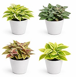 Planta artificiala in ghiveci HH04002