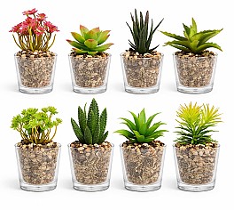 Декоротивное растение в горшке HH04004