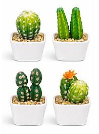 Декоротивное растение в горшке HH04006