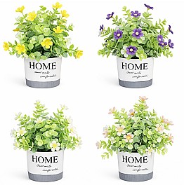 Декоротивное растение в горшке HH04007 ассорти