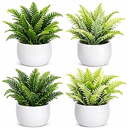 Декоротивное растение в горшке HH04009