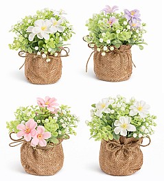 Декоротивное растение в горшке HH04012 ассорти