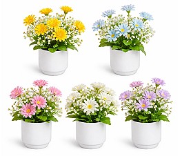 Декоротивное растение в горшке HH04013 ассорти