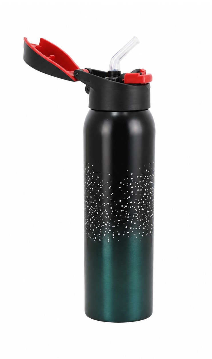 Termos 500ml HH04387