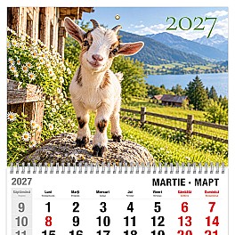 Calendar trimestrial Radop 2027-05