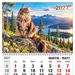 Calendar trimestrial Radop 2027-06